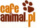 kramerkas - Właściciele - Zwierzaki na CafeAnimal.pl